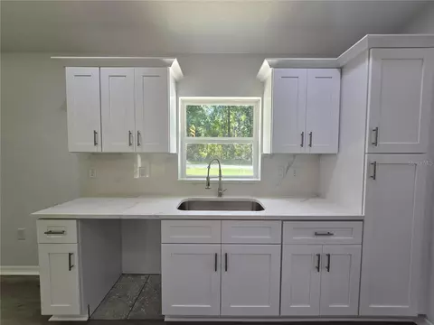 Kitchen - 11 Sequoia Loop Pl, Ocklawaha, FL 32179 photo 2 of 5