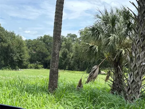 NE 23, Citra, FL 32113 photo 5