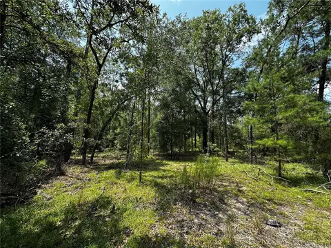 6270 NE 139th Ave, Williston, FL 32696 photo 3