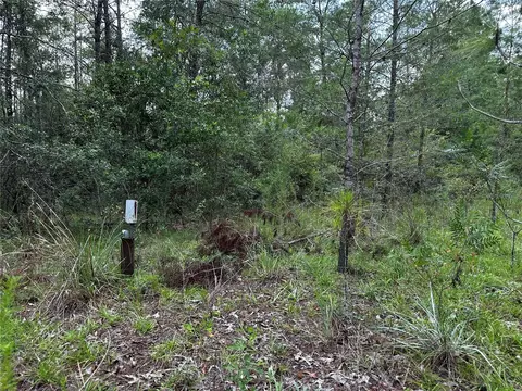 6270 NE 139th Ave, Williston, FL 32696 photo 4
