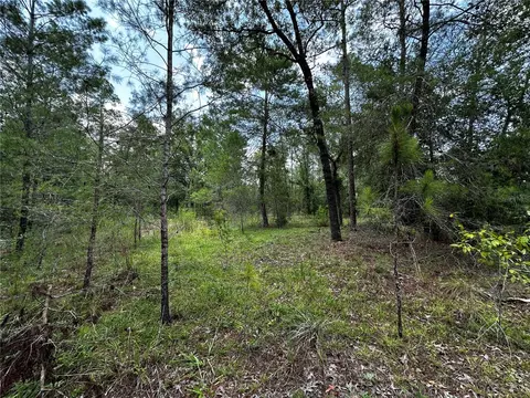 6270 NE 139th Ave, Williston, FL 32696 photo 8