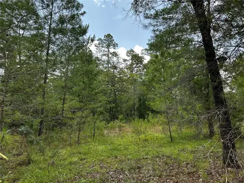 6270 NE 139th Ave, Williston, FL 32696 photo 2