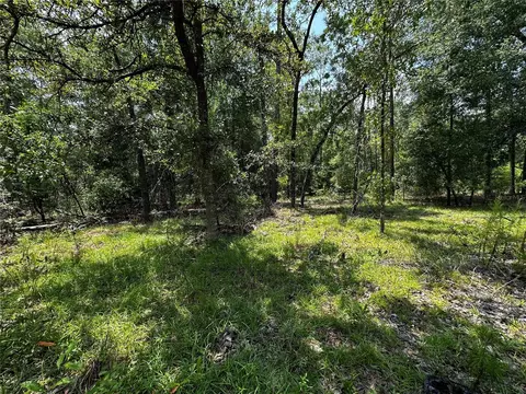 6270 NE 139th Ave, Williston, FL 32696 photo 5