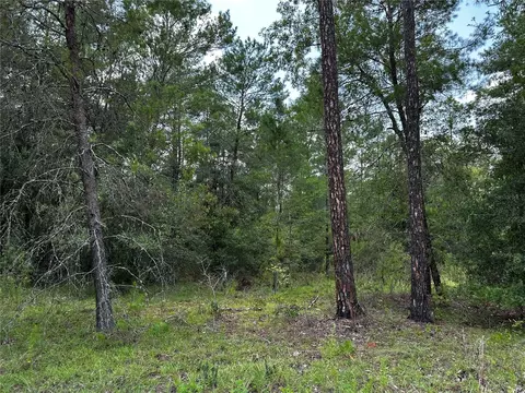 6270 NE 139th Ave, Williston, FL 32696 photo 9