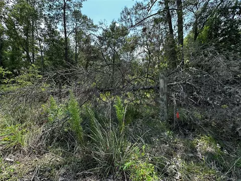 6270 NE 139th Ave, Williston, FL 32696 photo 12