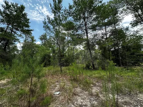6270 NE 139th Ave, Williston, FL 32696 photo 7