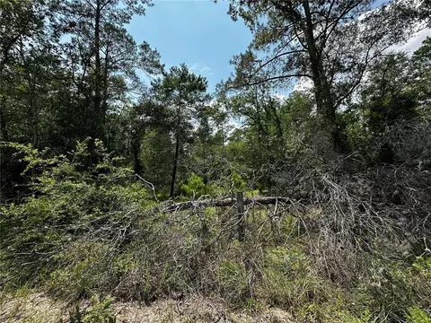6270 NE 139th Ave, Williston, FL 32696 photo 14