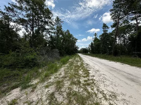 6270 NE 139th Ave, Williston, FL 32696 photo 16