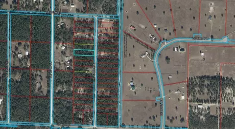 6270 NE 139th Ave, Williston, FL 32696 photo 18