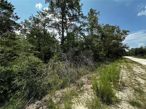 6270 NE 139th Ave, Williston, FL 32696 photo 15