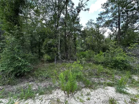 6270 NE 139th Ave, Williston, FL 32696 photo 10