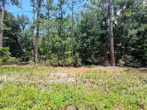 0 NE 132nd Pl, Citra, FL 32113