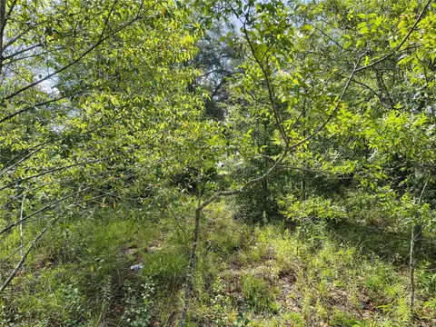 tbd NW 6th Pl, Ocala, FL 34482 photo 5