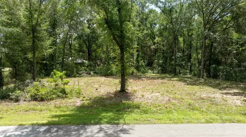 000 NE 155th Ct, Williston, FL 32696 photo 4