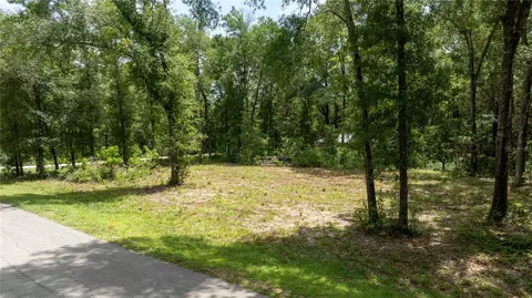 000 NE 155th Ct, Williston, FL 32696 photo 3