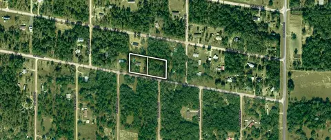 View/Area - 13711 NE 8th St, Williston, FL 32696 photo 7 of 7