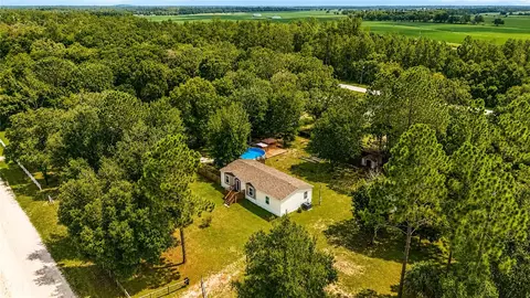 View/Area - 13711 NE 8th St, Williston, FL 32696 photo 6 of 7