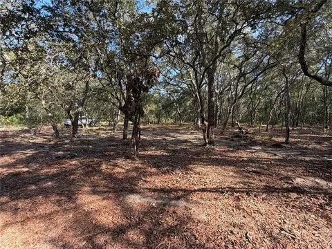 103 SW 53rd Ave, Interlachen, FL 32148 photo 3