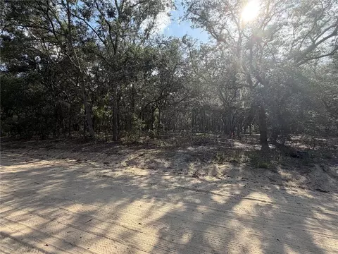 103 SW 53rd Ave, Interlachen, FL 32148 photo 5