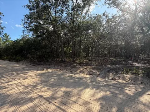 103 SW 53rd Ave, Interlachen, FL 32148 photo 4