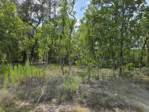 0000 NE 150th Ave, Williston, FL 32696 photo 2