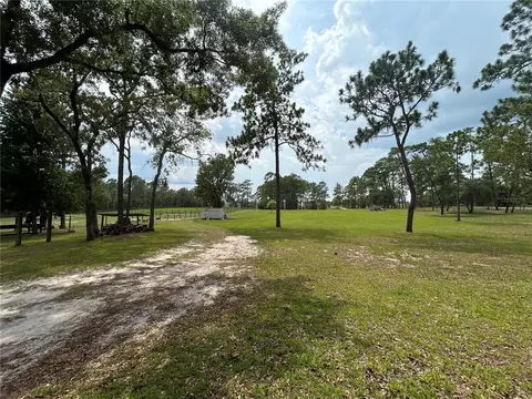 Exterior - 14050 SE 10th St, Williston, FL 32696 photo 4 of 11