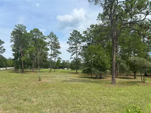 Other - 14050 SE 10th St, Williston, FL 32696 photo 4 of 4