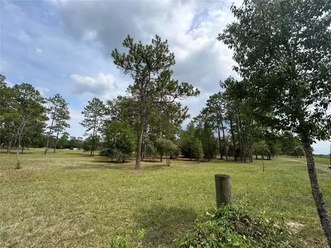 Exterior - 14050 SE 10th St, Williston, FL 32696 photo 11 of 11