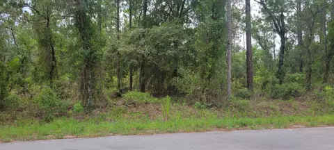 0 NW Highview Ave, Dunnellon, FL 34431