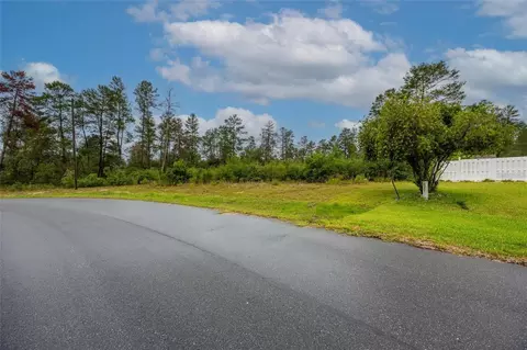 tbd SW 170th Loop, Ocala, FL 34473 photo 3