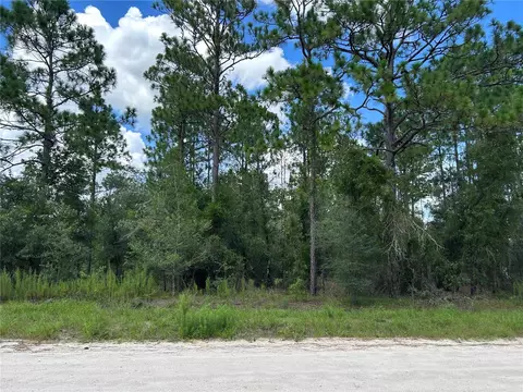 0000 SE 25th St, Morriston, FL 32668