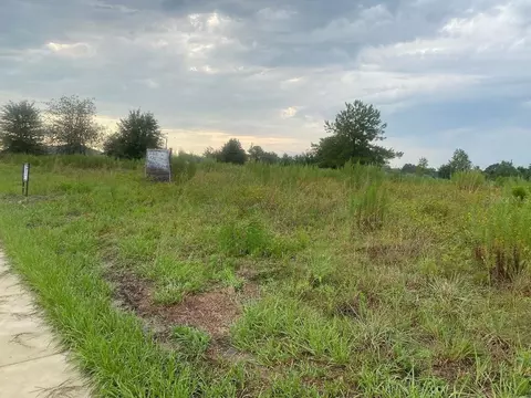 241 Chestnut Rd, Ocala, FL 34480 photo 4
