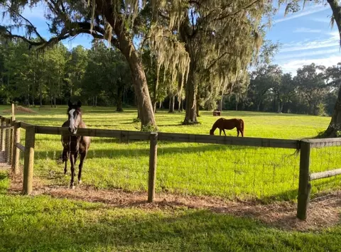 Other - 8410 NE 155th Ave, Williston, FL 32696 photo 24 of 35