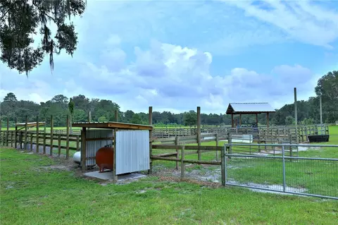 Other - 8410 NE 155th Ave, Williston, FL 32696 photo 16 of 21
