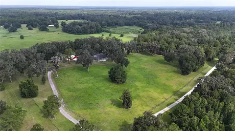 View/Area - 8410 NE 155th Ave, Williston, FL 32696 photo 3 of 7
