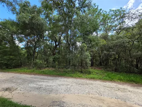 00 SE 105th Ter, Ocklawaha, FL 32179