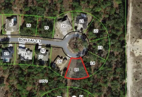 37 Boxleaf Ct, Homosassa, FL 34446