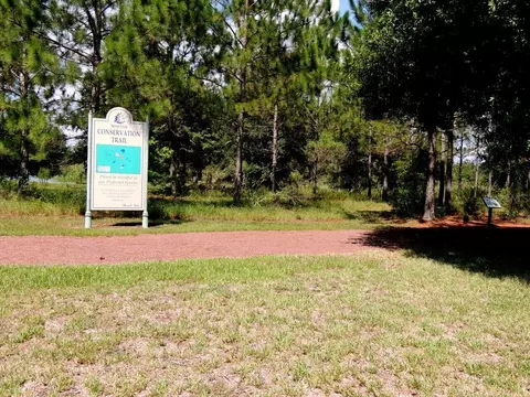 View/Area - 9211 SE 130th Loop, Summerfield, FL 34491 photo 13 of 28