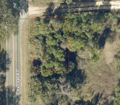 tbd NE 143 Ln, Fort Mc Coy, FL 32134