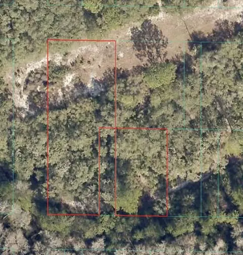 NE 151 Lane, Fort Mc Coy, FL 32134