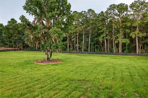 tbd Hwy 329, Reddick, FL 32686 photo 6