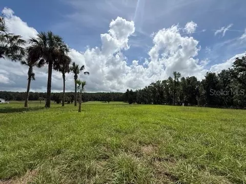 tbd Hwy 329, Reddick, FL 32686 photo 7