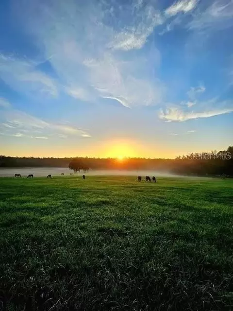 tbd Hwy 329, Reddick, FL 32686 photo 16