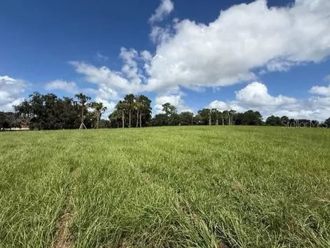 tbd Hwy 329, Reddick, FL 32686 photo 10
