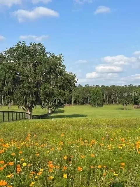 tbd Hwy 329, Reddick, FL 32686 photo 13