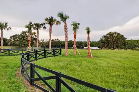 tbd Hwy 329, Reddick, FL 32686 photo 8