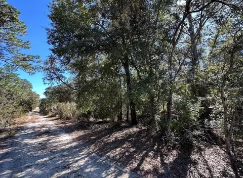 tbd NE 86th St, Bronson, FL 32621 photo 5