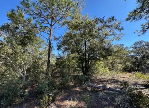 tbd NE 86th St, Bronson, FL 32621 photo 4