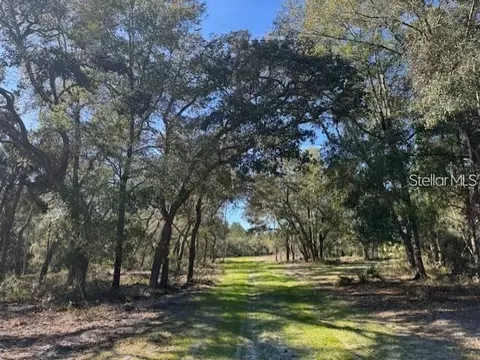 tbd NE 150th Ave Rd #LOT 5, Fort Mc Coy, FL 32134