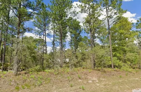 2175 W Galaxy Ln, Citrus Springs, FL 34434